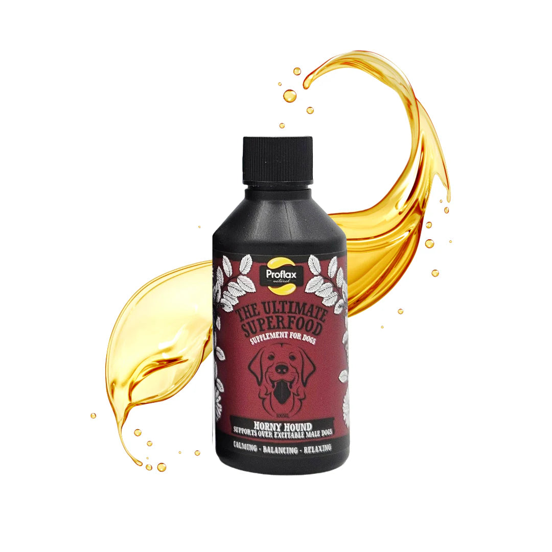 Proflax Horny Hounds 100ml
