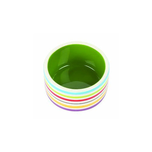 Rainbow Pet Bowl