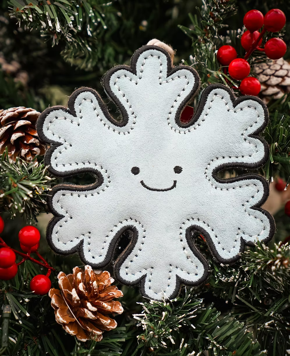 Aurora Paws- Flakey the Snowflake shaped Eco Dog Toy
