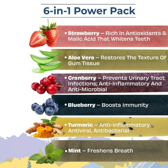 Pawfect Medium Himalayan Cheese Chew | Variety Pack of 6 | Strawberry, Blueberry, Cranberry, Aloe, Turmeric, Mint |Grain-free