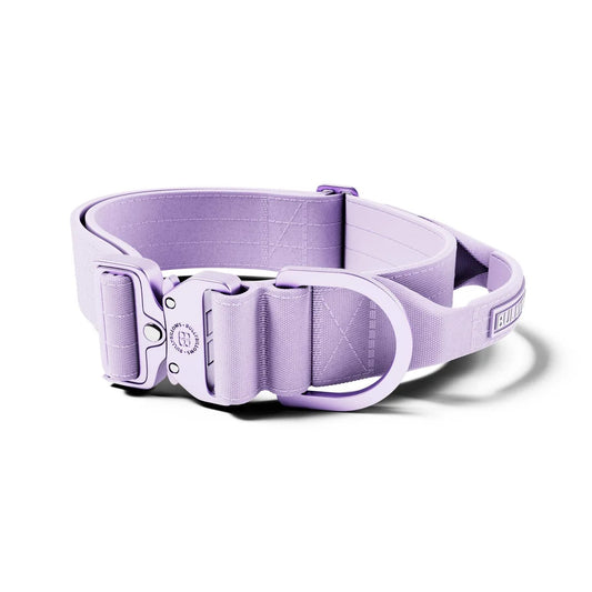 Bully Billows 5cm Lighter Combat® Collar | With Handle Secure Clip -