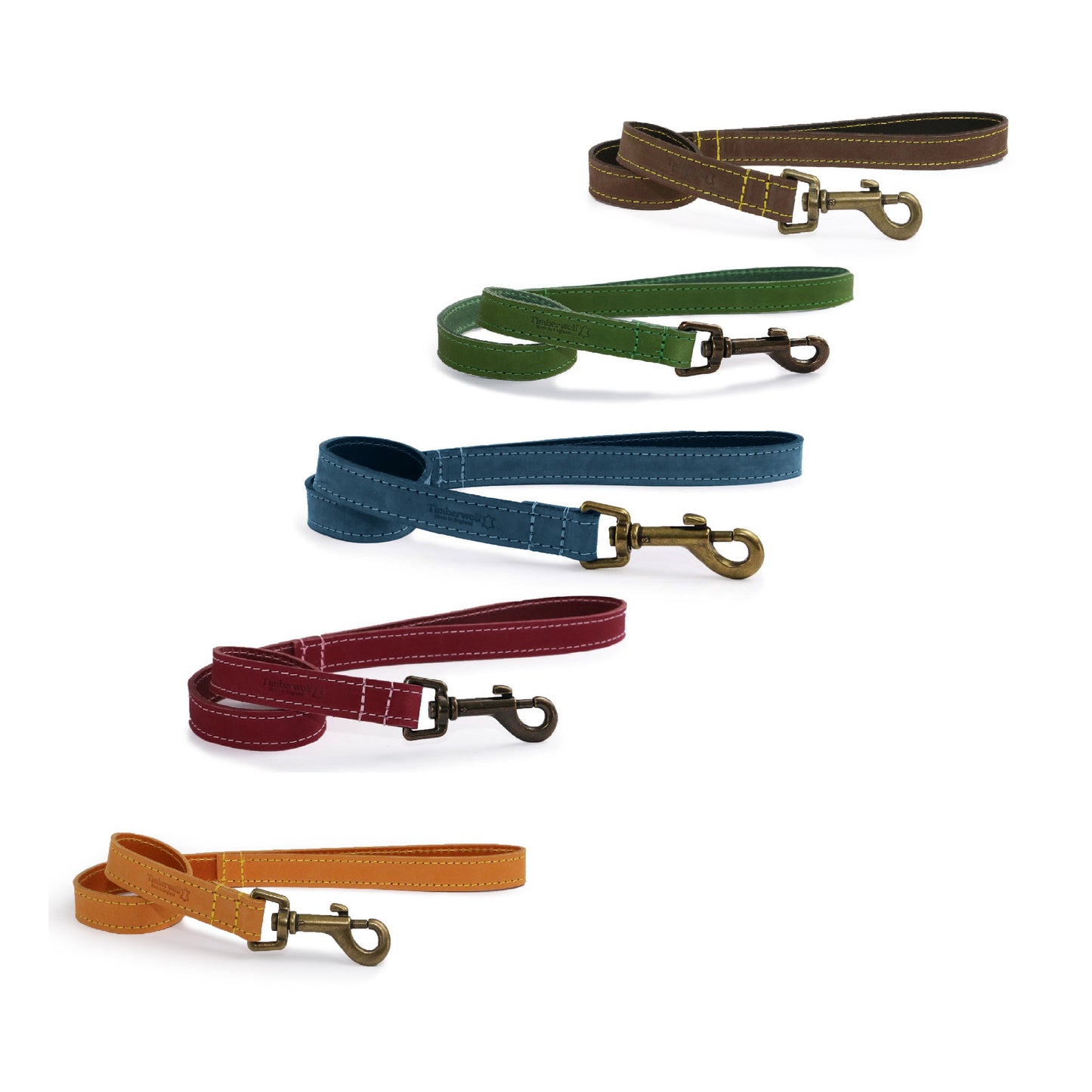 Set of five dog leashes in different colors on a white background