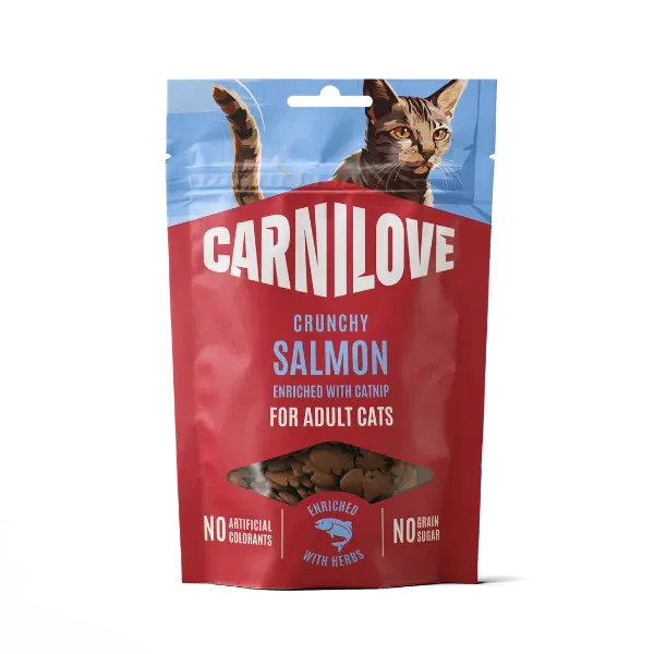 SALMON WITH CATNIP CRUNCHY CAT TREATS 50g