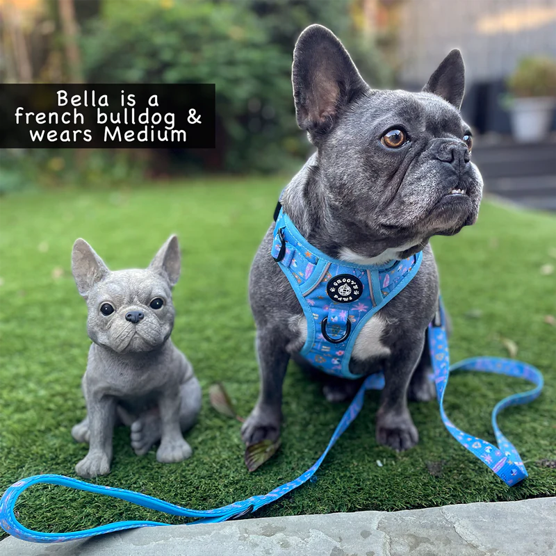 Groovy Paws Grip & Groove Harness - Surf's Pup