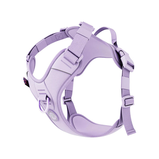 Bully Billow Anti Pull Hurricane Harness Lighter | With Handle -