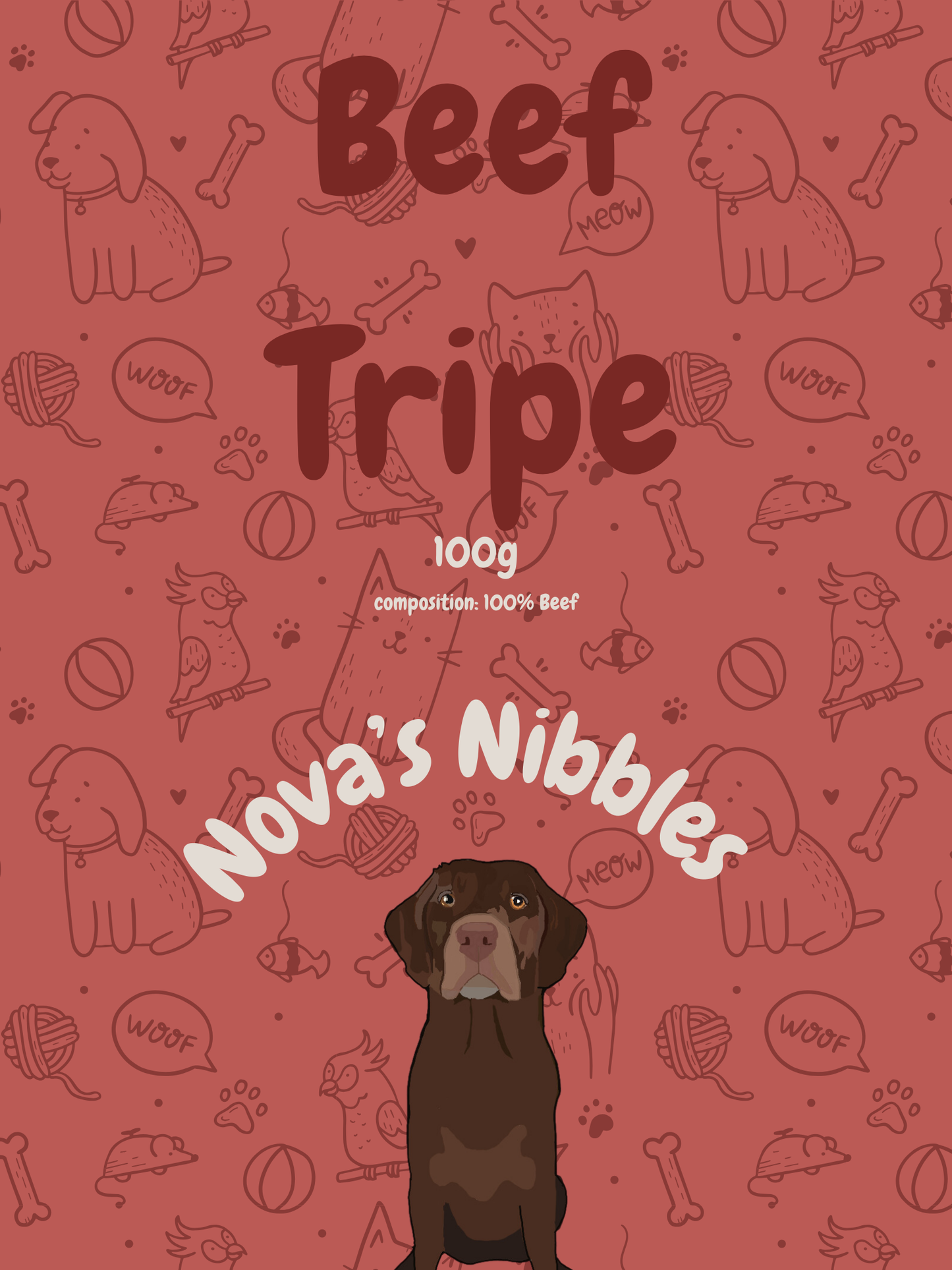Novas Nibbles Dried Beef Tripe 100g