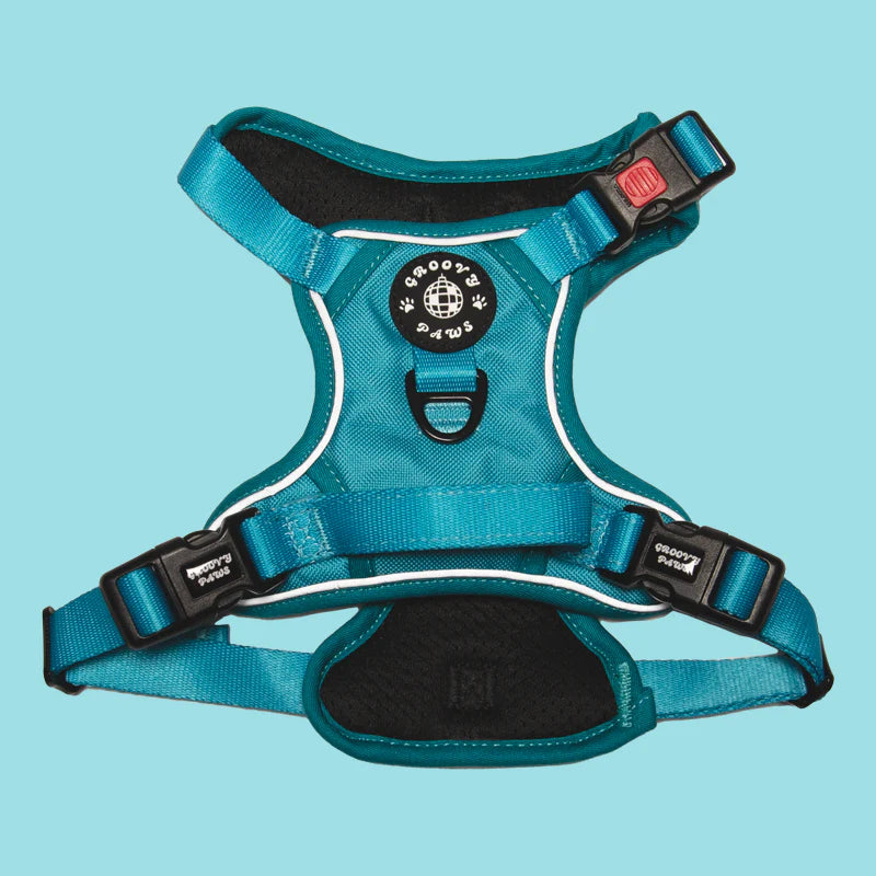 Groovy Paws Harness Tealin’ Good