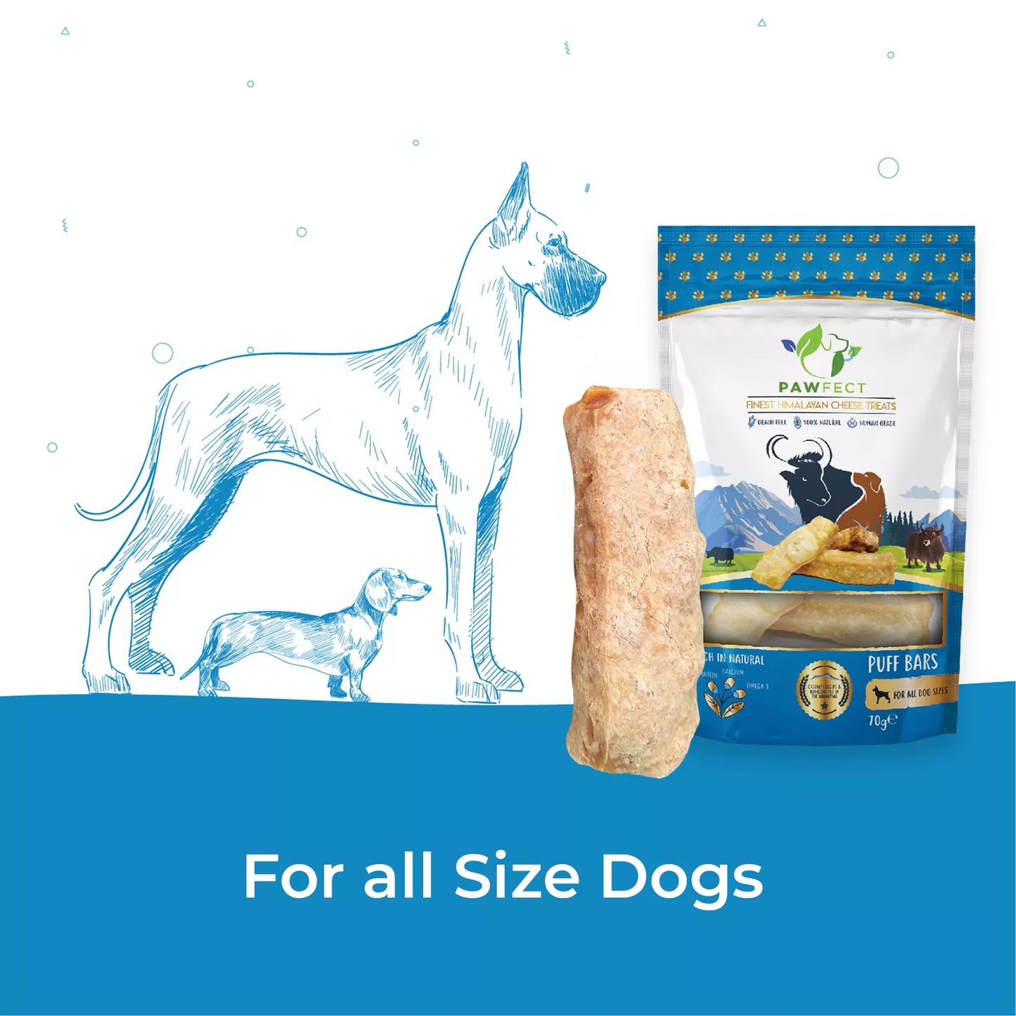 Pawfect Himalayan Cheese Puffed Bars