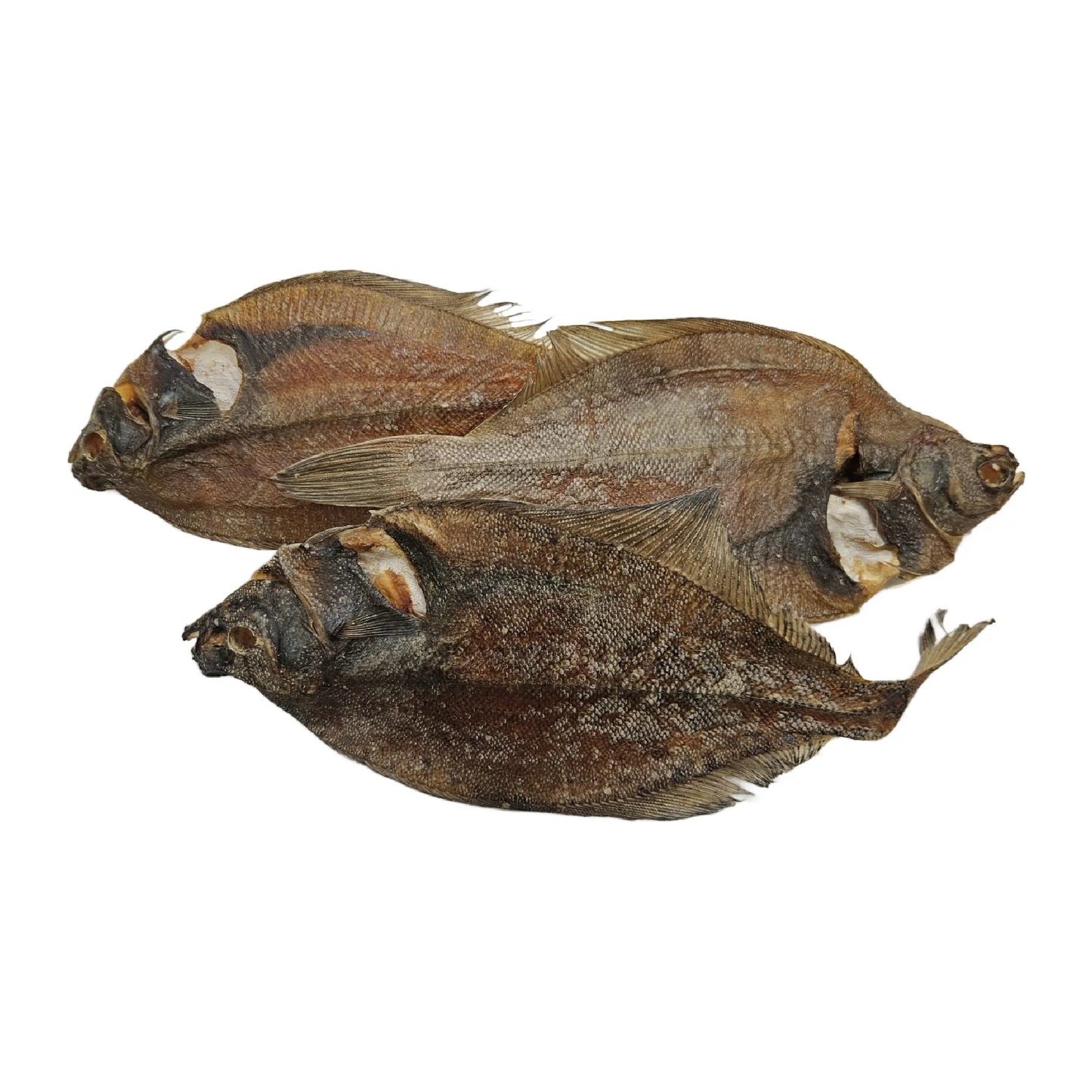 Dab Fish