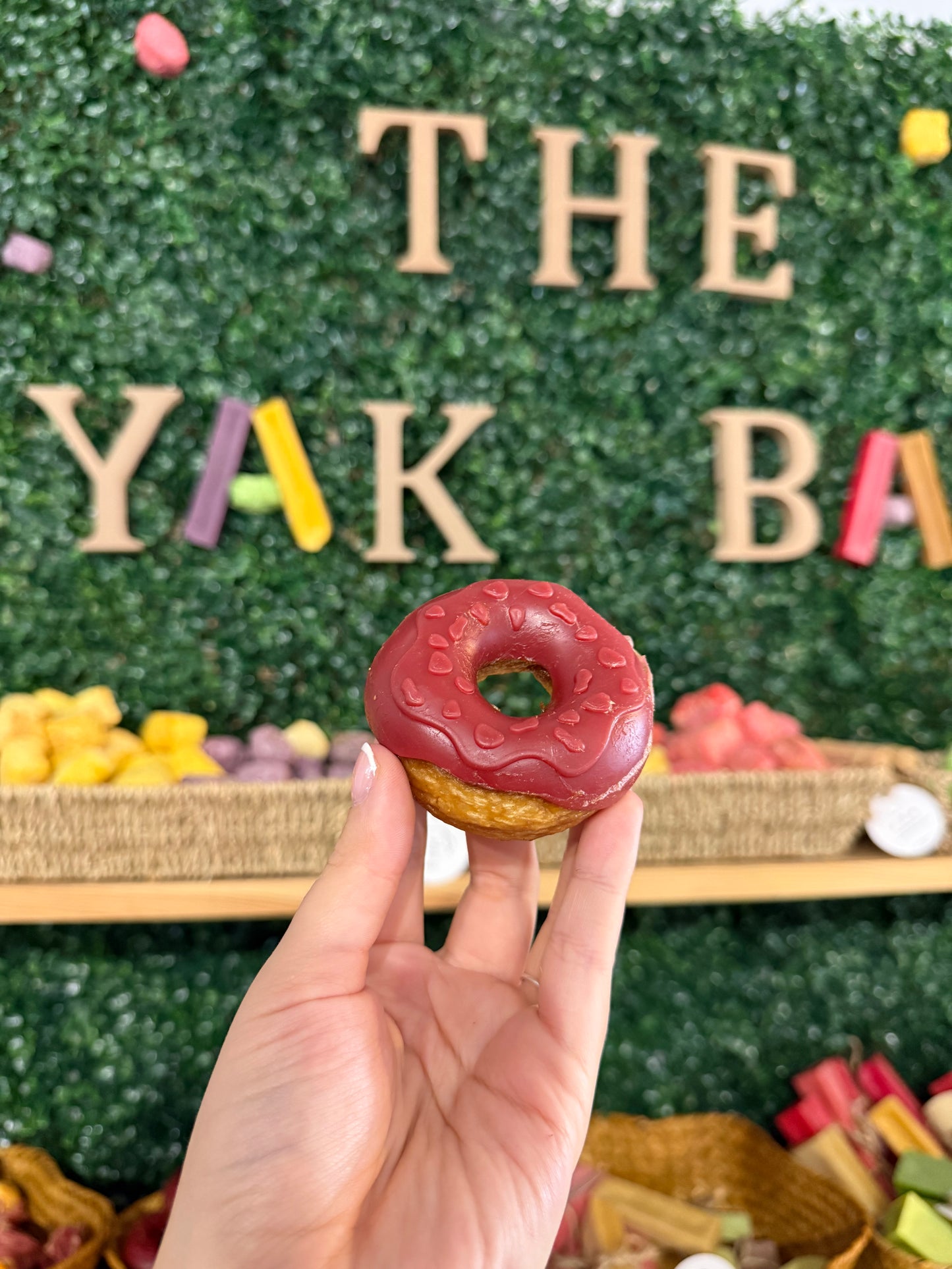 Beef, Duck & Strawberry Collagen Donut