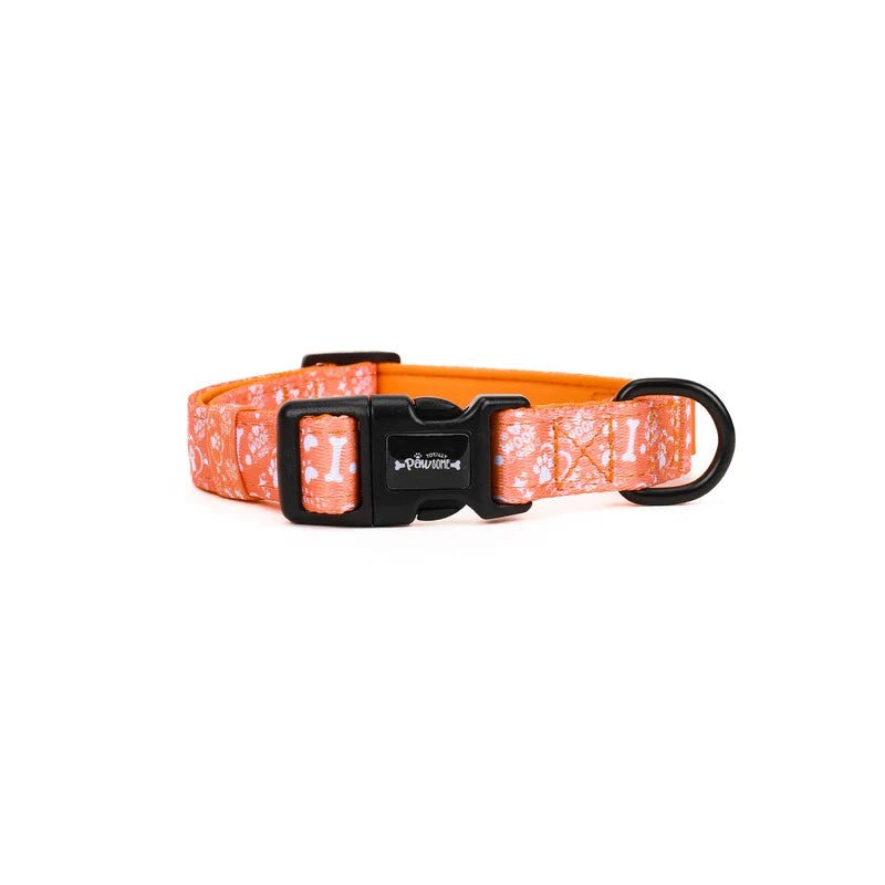 Totally Pawsome Sunburst Collar