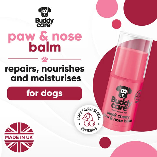Buddycare Paw Balm