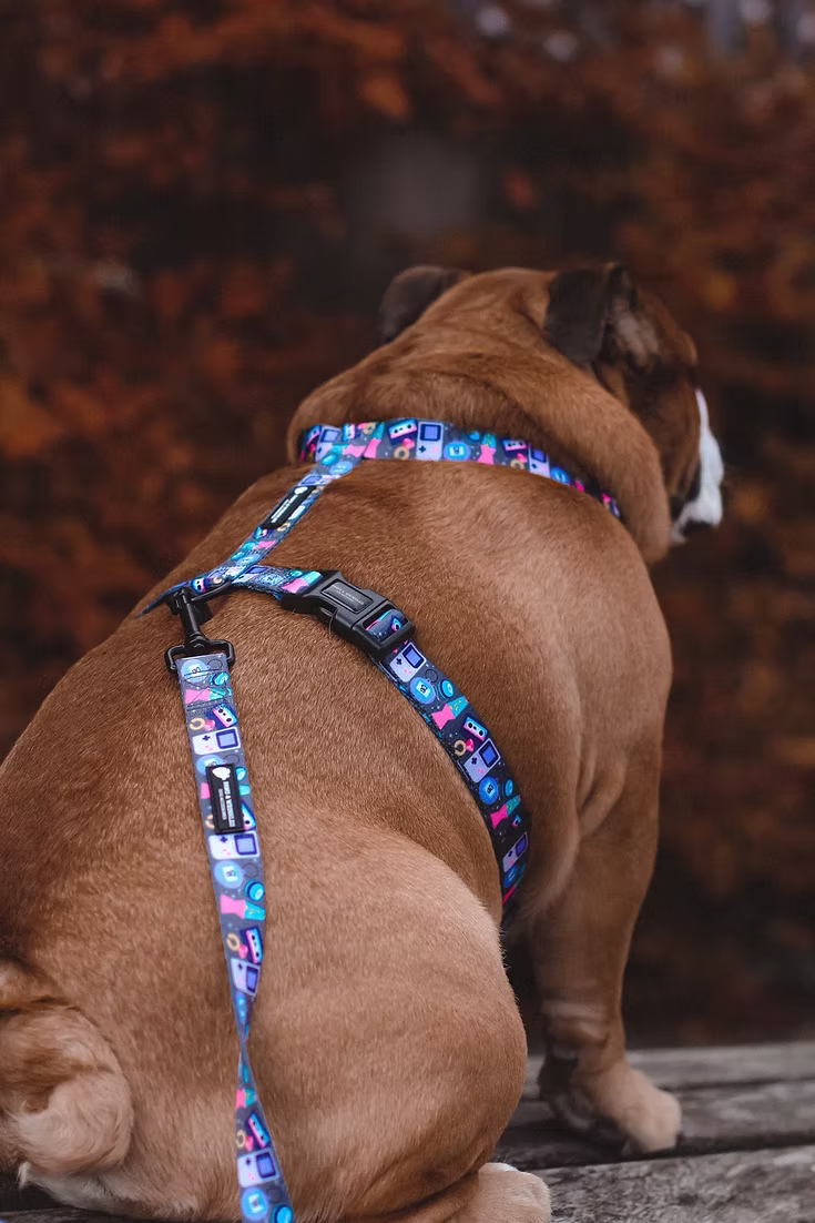 Paws & Wrinkles ThrowBARK Harness