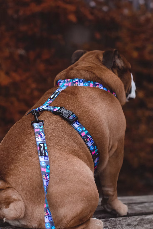 Paws & Wrinkles ThrowBARK Harness