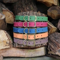 Ancol Timberwolf Leather Collar