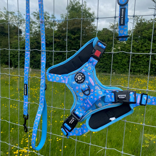Groovy Paws Grip & Groove Harness - Surf's Pup