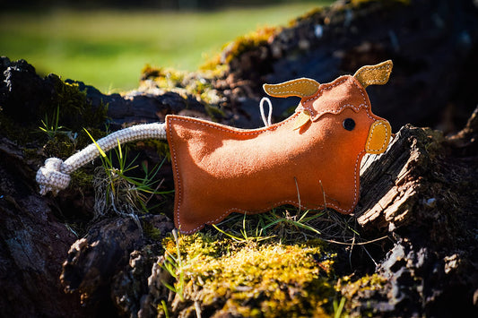 Aurora Paws- Hamish the Cow