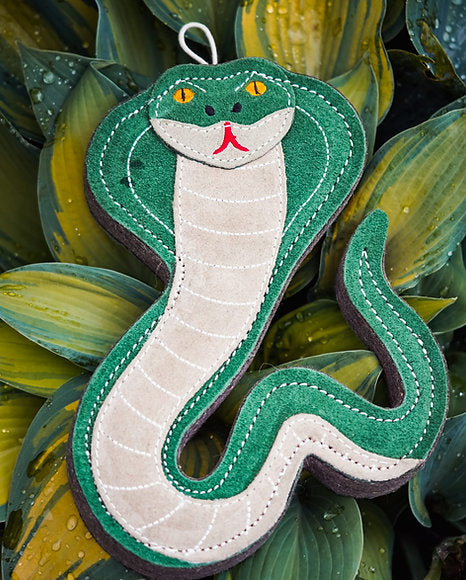 Aurora Paws- Kai the Cobra