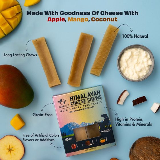 Pawfect Medium Himalayan Cheese Chews with Apple, Mango & Coconut