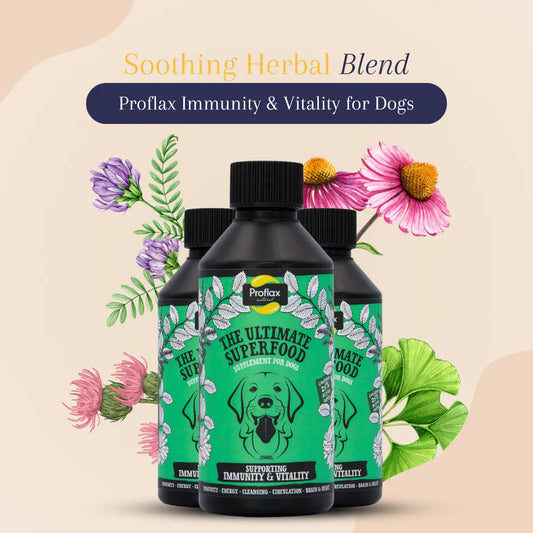 Proflax Immunity & Vitality