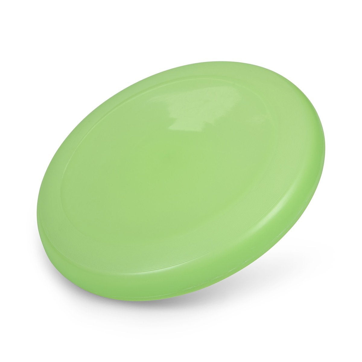 Outdoor Glow in the Dark Frisbee