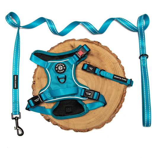 Groovy Paws Grip & Groove Harness - Tealin' Good