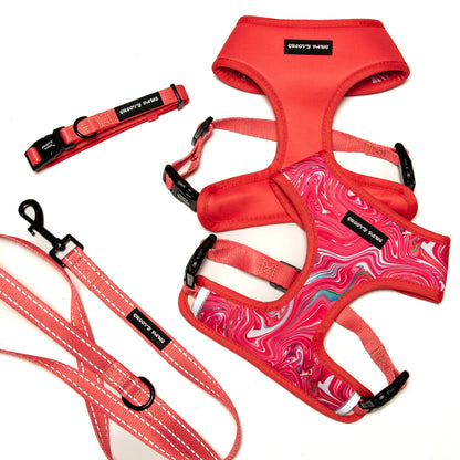 Groovy Paws Reversible Harness Set