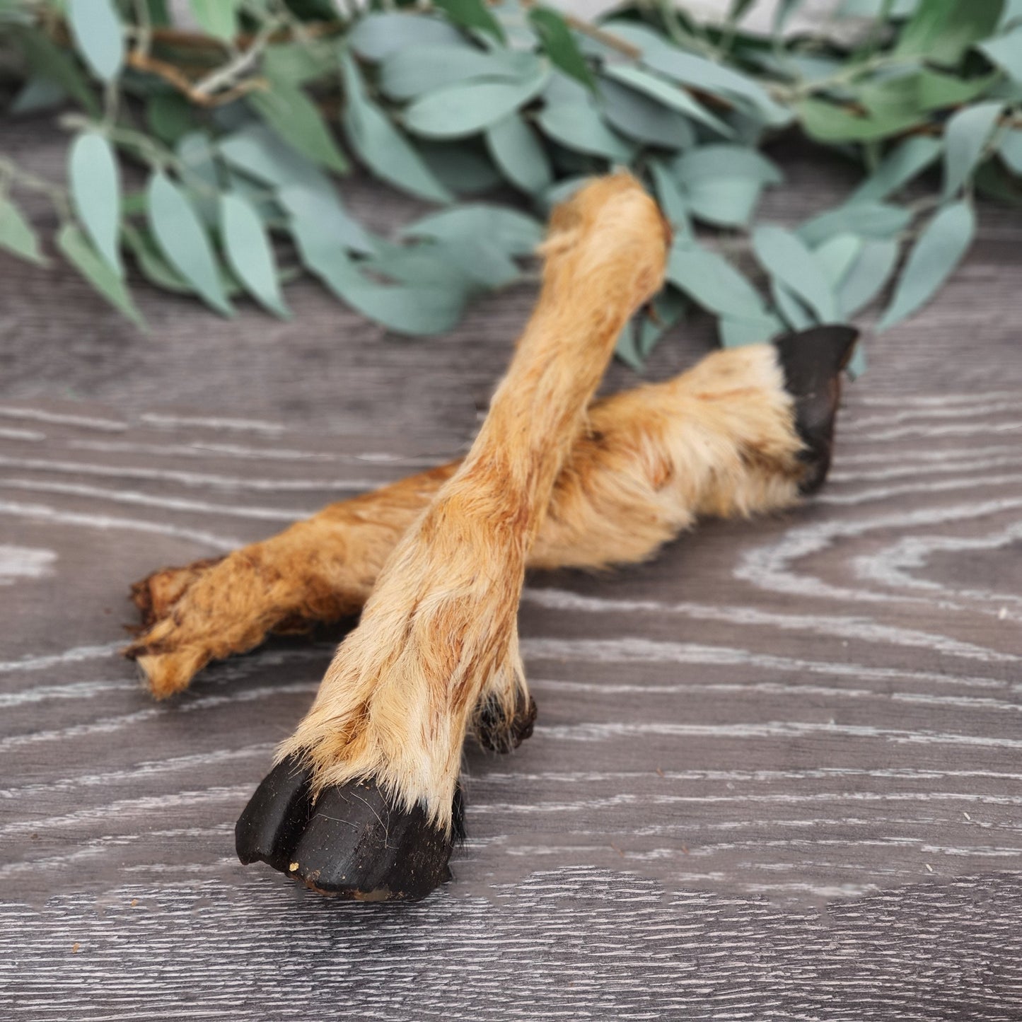 Hairy Goat Feet