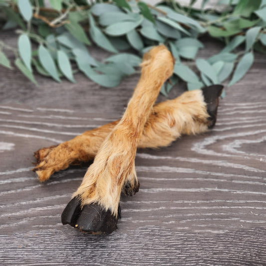 Hairy Goat Feet