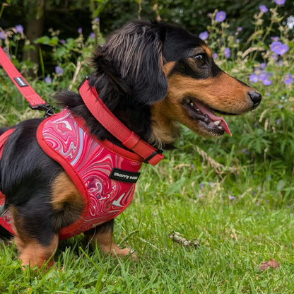 Groovy Paws Reversible Harness Set