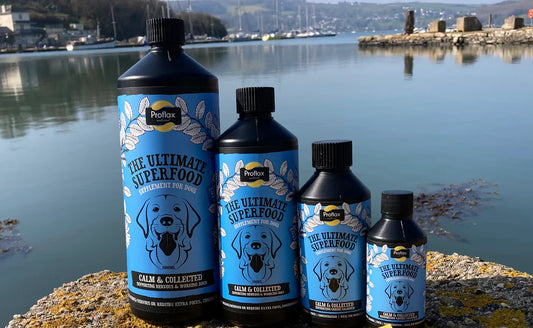 Proflax Calm & Collected