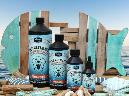 Proflax Omega Vital 250ml