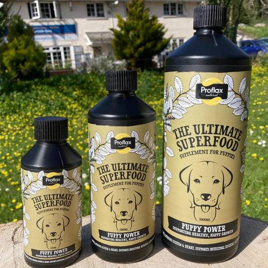 Proflax Puppy Power 500ml