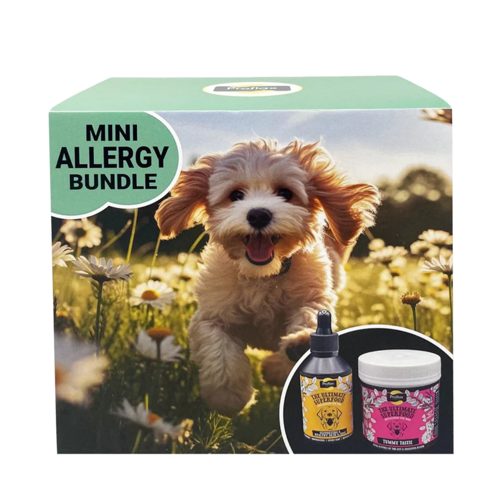 Proflax Mini Allergy Bundle