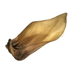 Buffalo Ear