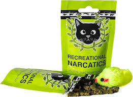 Recreational Narcatics with Toy