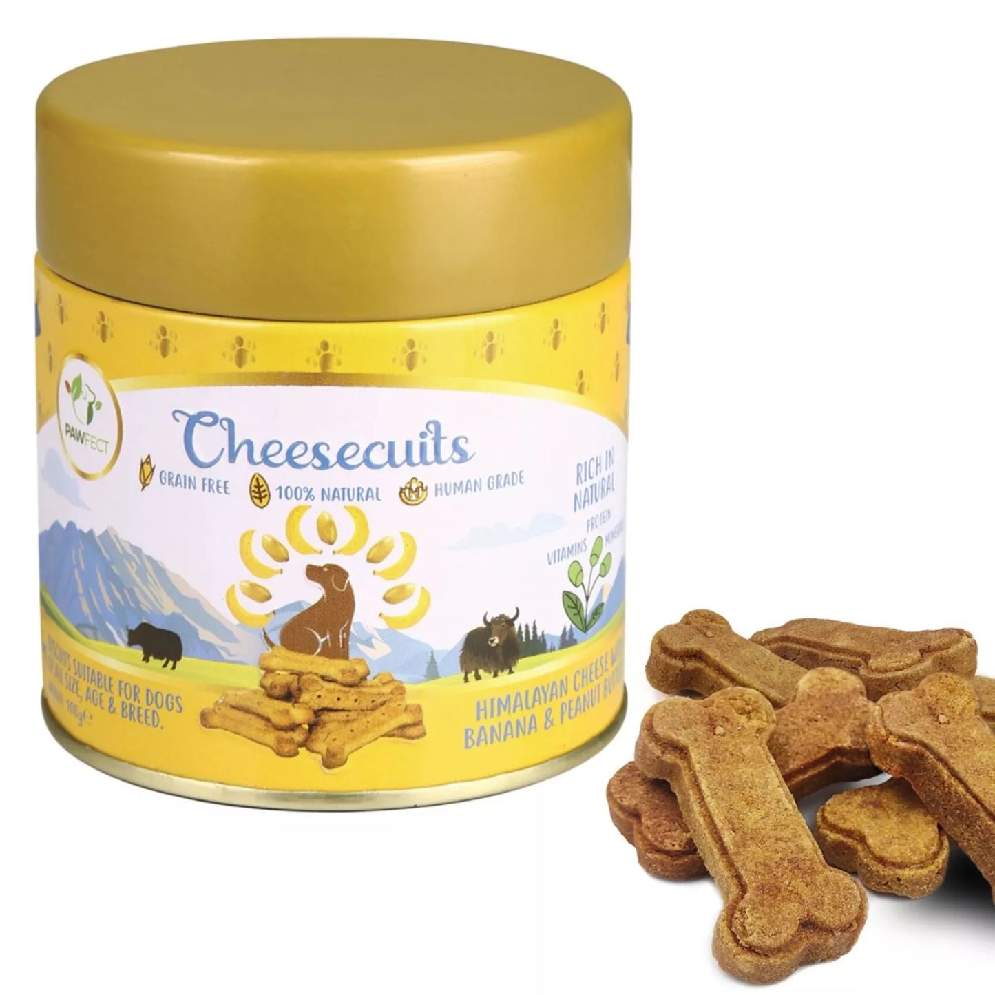 Pawfect Cheesecuits - Cheesy Biscuits with Pineapple and Coconut