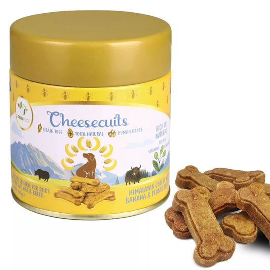 Pawfect Cheesecuits - Cheesy Biscuits with Pineapple and Coconut