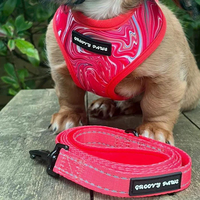 Groovy Paws Reversible Harness Psychedelic Pooch