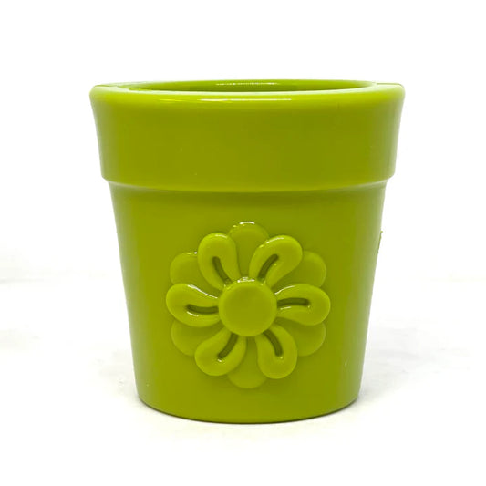 Sodapup Flower Pot