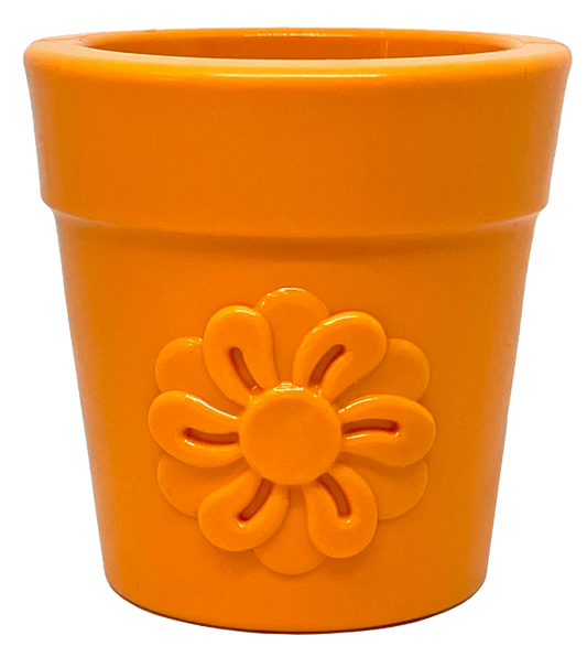 Sodapup Flower Pot