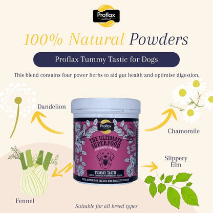 Proflax Mini Allergy Bundle