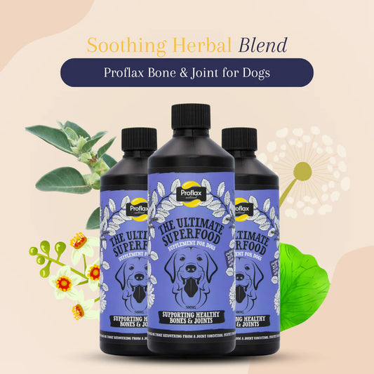 Proflax Bone & Joint