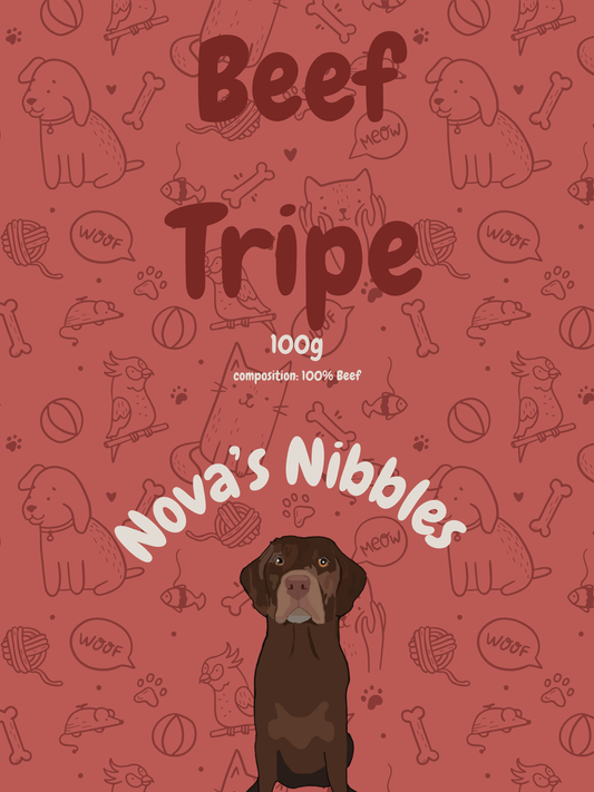 Novas Nibbles Dried Beef Tripe 100g