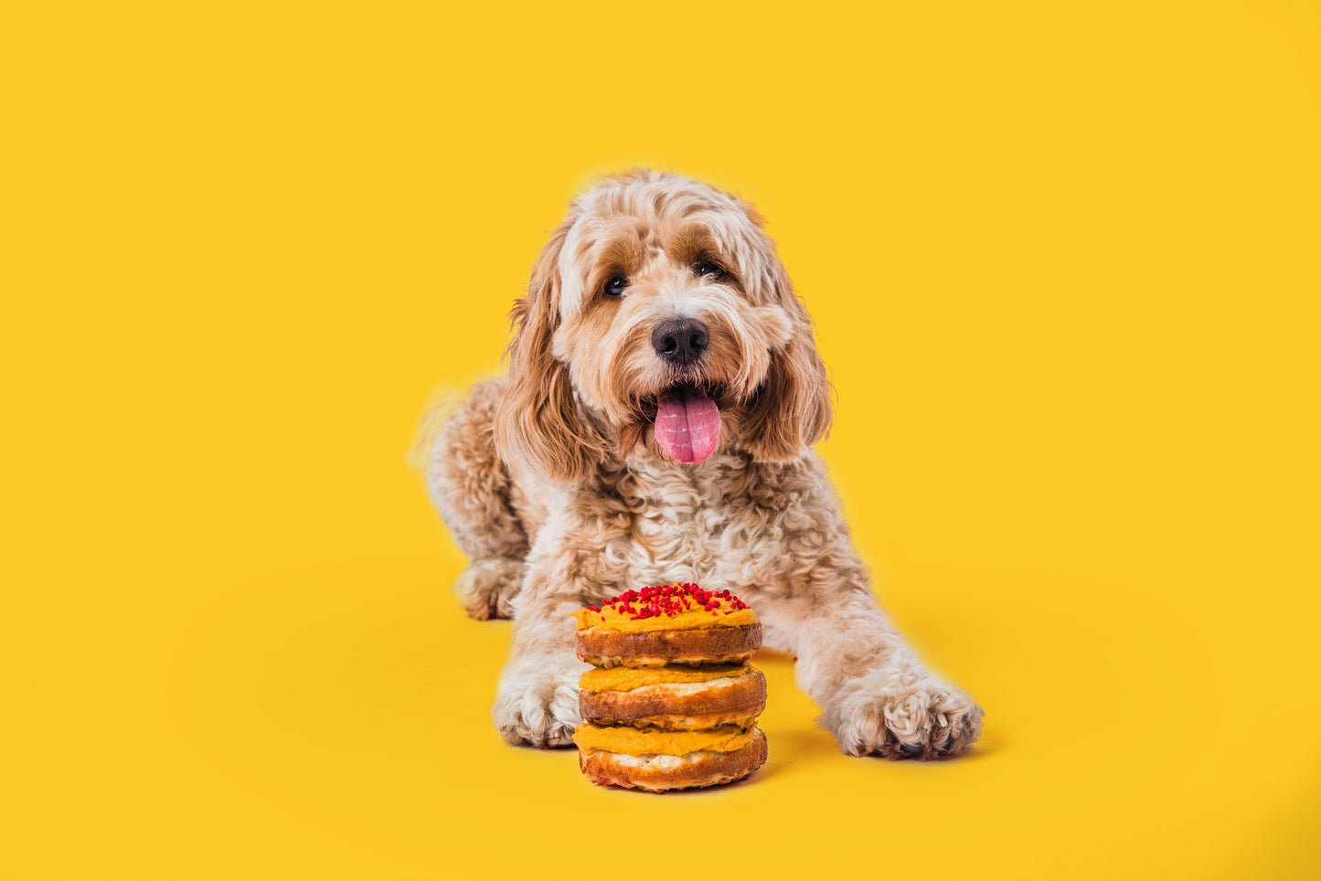 Dog & Bond Dog Cake Mix