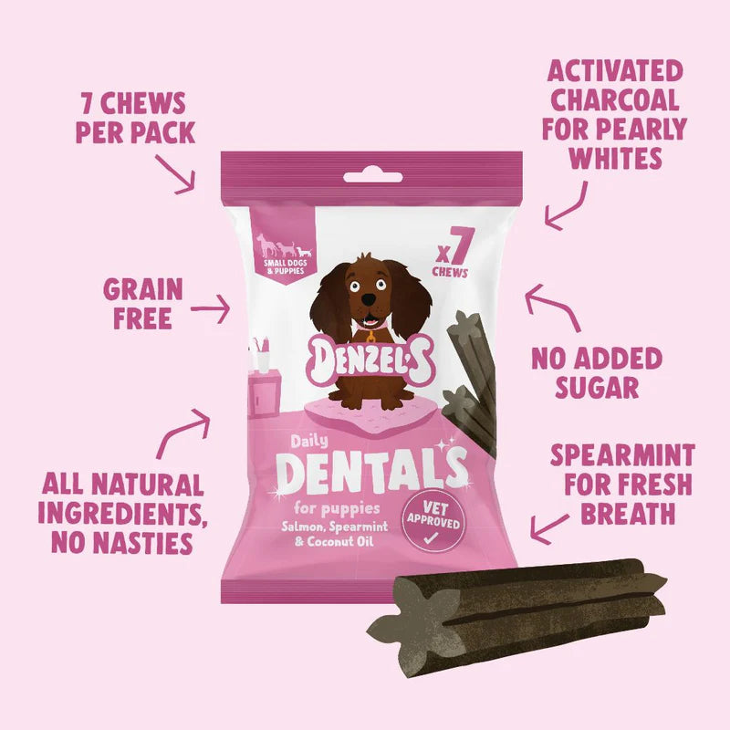 Denzel’s Daily Dentals- Salmon, Spearmint & Coconut Oil