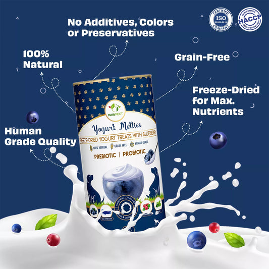Pawfect Yoghurt Melties Prebiotic and Probiotic treats- Blueberry