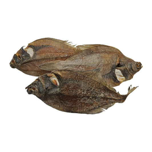 Dab Fish