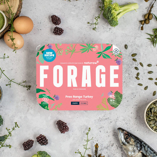 Naturaw Puppy Forage: Free Range Turkey 500g
