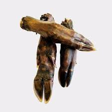 Wild Boar foot